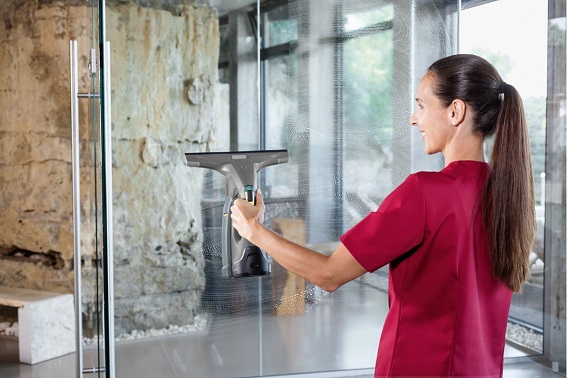Window Vacs Professiona