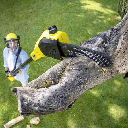 PSW_18_20_sawing_tree_app_03